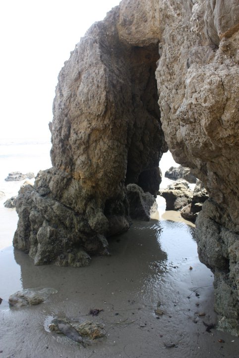 Malibu247758_10150646413465192_7942018_n